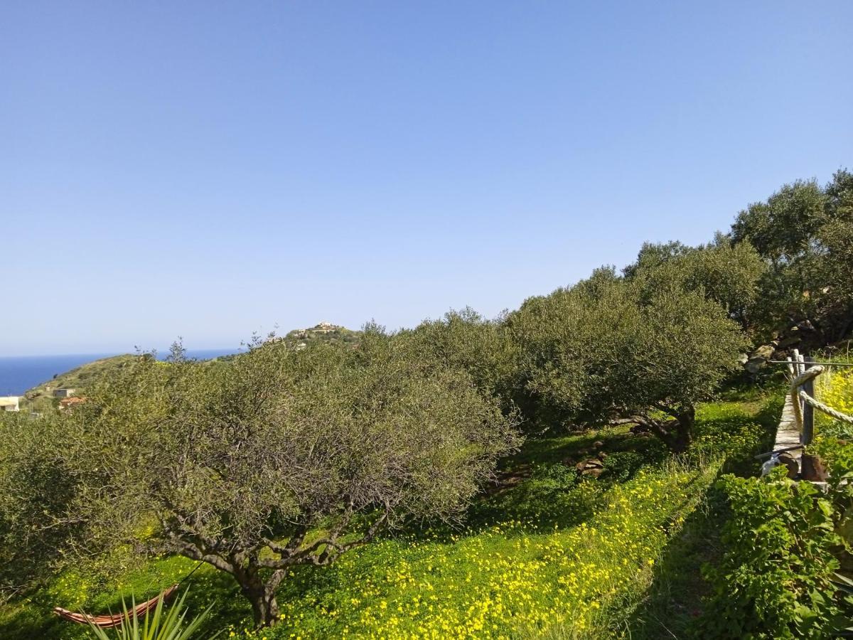 Saveriako, Paradise For Relaxed Free Spirits Villa Agia Pelagia Dış mekan fotoğraf