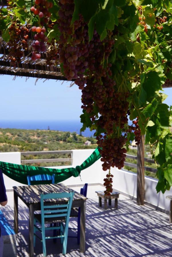 Saveriako, Paradise For Relaxed Free Spirits Villa Agia Pelagia Dış mekan fotoğraf